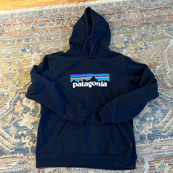 Patagonia Other - Men’s Navy Patagoniaia Hoodie